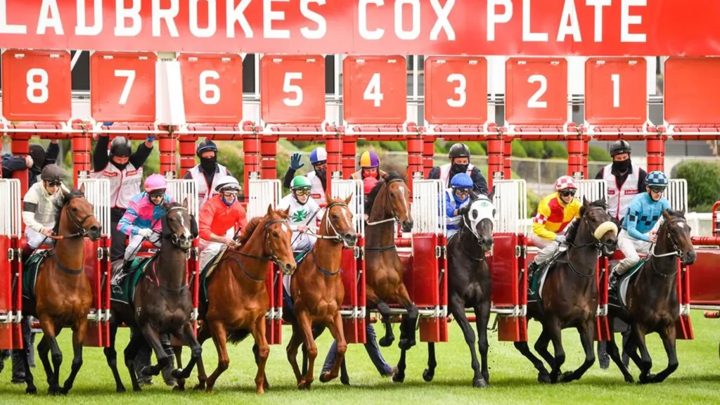 cox-plate-day-Melbourne Racing Experience