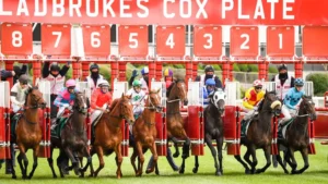cox-plate-day-Melbourne Racing Experience