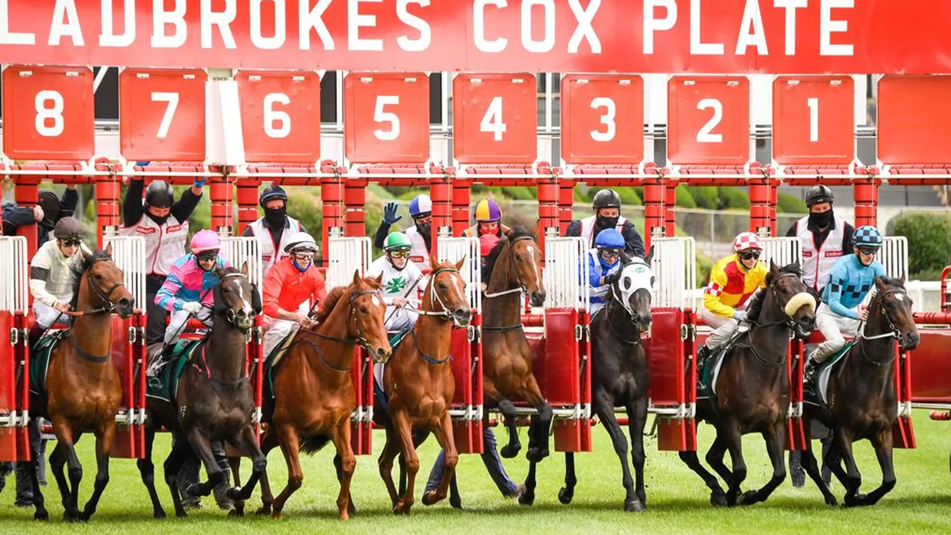 cox-plate-day-Melbourne Racing Experience